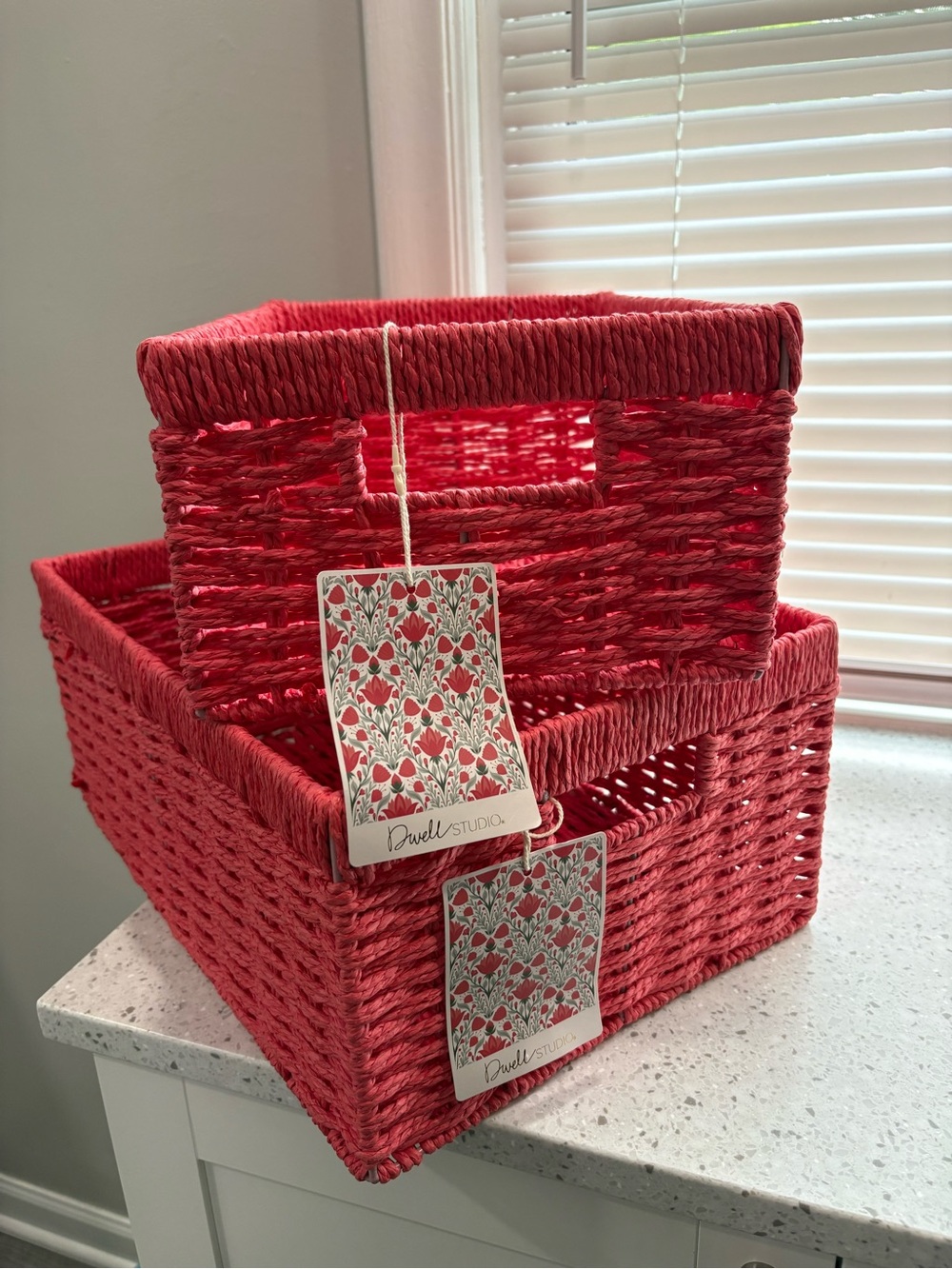 NWT Dwell Studio Coral/Dark Salmon Woven Storage Basket Set